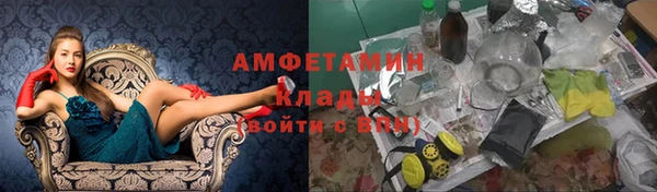 твердый Аркадак