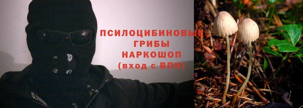 дмт Арсеньев