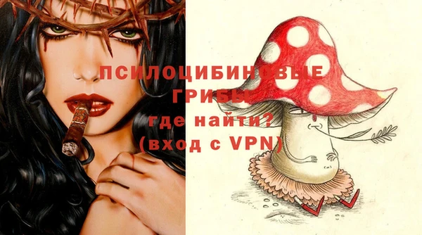 дмт Арсеньев