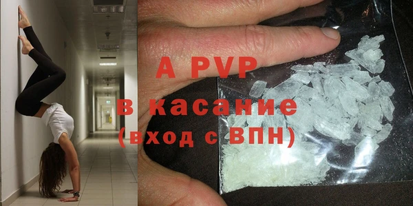 твердый Аркадак