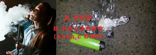 твердый Аркадак