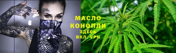 твердый Аркадак